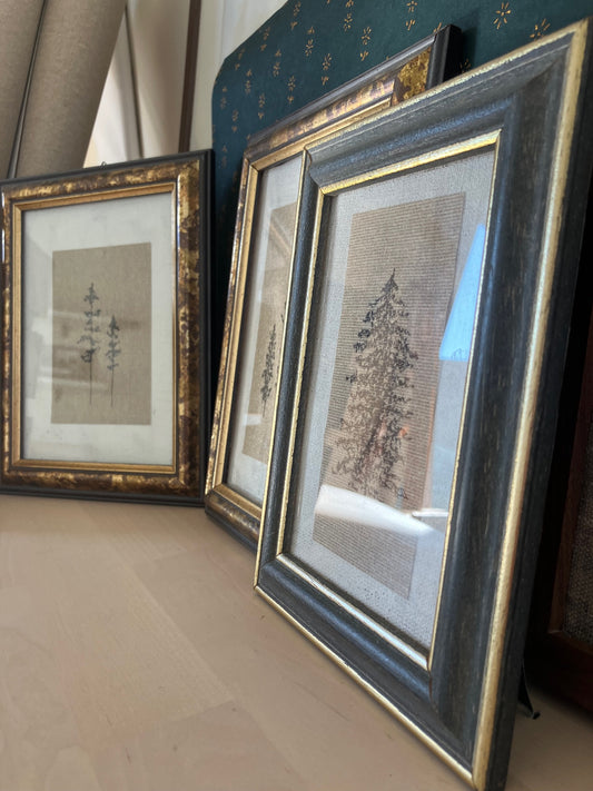 Framed Botanic - Ink On Canvas Paper